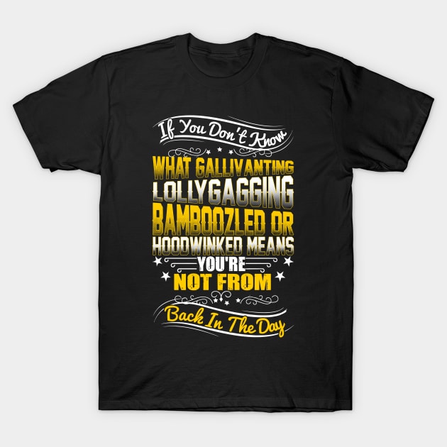 If You Don't Know Gallivanting T-Shirt by JawJecken